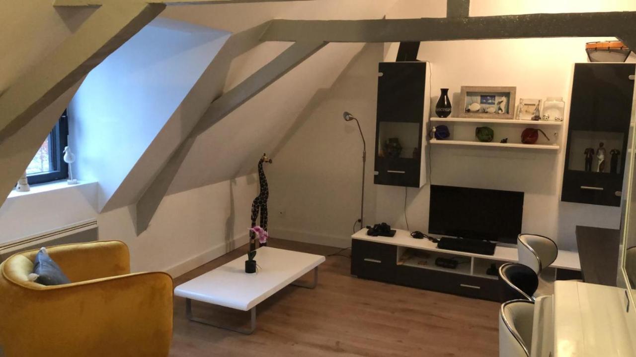 Logement Avec Deux Appartements Sur Deux Etages Wormhout エクステリア 写真